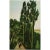 A lovely vintage First Edition offset lithograph, full-color print, of painting "Au Parc Montsouris"( At The Montsouris...