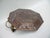 Vintage Art Nouveau Wall Lamp in Patinated Brass, 1890s For Sale - Image 5 of 17