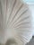 Glass Mid 20th Century Sea Shell Console Table in the Manner of Groult For Sale - Image 7 of 9