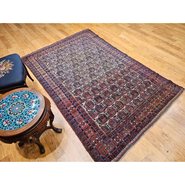 Antique Persian Afshar Tribal Rug, Hand-Knotted Wool, Allover Paisley Pattern, Ivory & Red, 5x7 For Sale In Chicago - Image 6 of 17