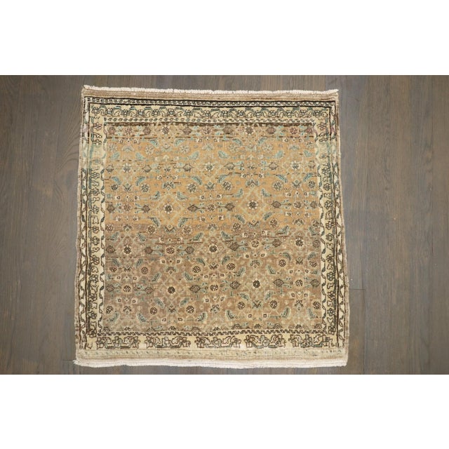 a mini square size mid 20th Century Bidjar