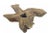 Coffee Free Form Brown One Slab Teak Living Edge Coffee Table For Sale - Image 8 of 8