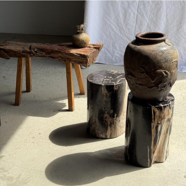 Side Table in Black Petrified Wood with Beige Fine Mesh Pattern For Sale - Image 4 of 18
