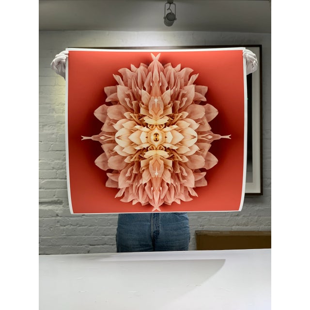 "No. 127" Contemporary Original Abstract Botanical Limited Edition Print by Erin Derby For Sale - Image 4 of 6