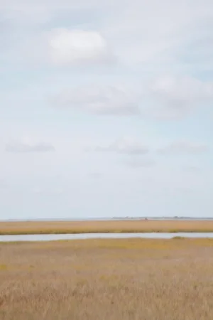 Seeking Calm, Limited Edition Photography by Kristin Hart 50x75
