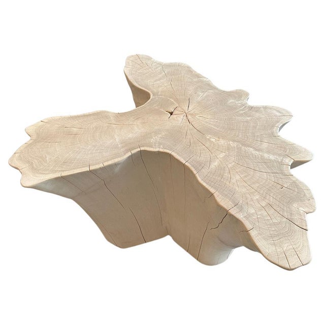 Andrianna Shamaris Amorphous Bleached Teak Wood Coffee Table For Sale - Image 15 of 18