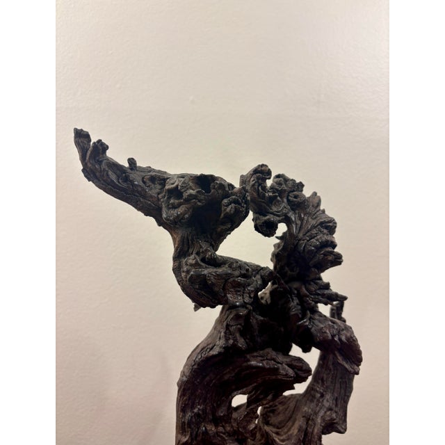 A striking vintage natural burl wood specimen presented as a sculptural object on a clear lucite base. The wonderfully...