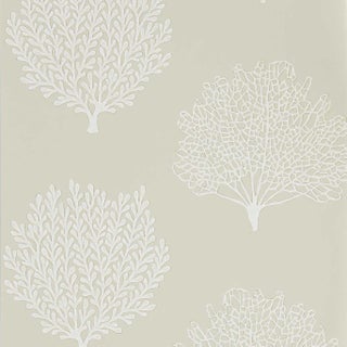 Sanderson Home Wallpaper, Beige / Gray ( 4 Rolls X 11 Yard ) For Sale