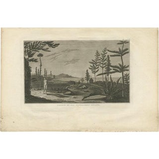 J. Cook, Pine Tree Island, 1803, Print For Sale