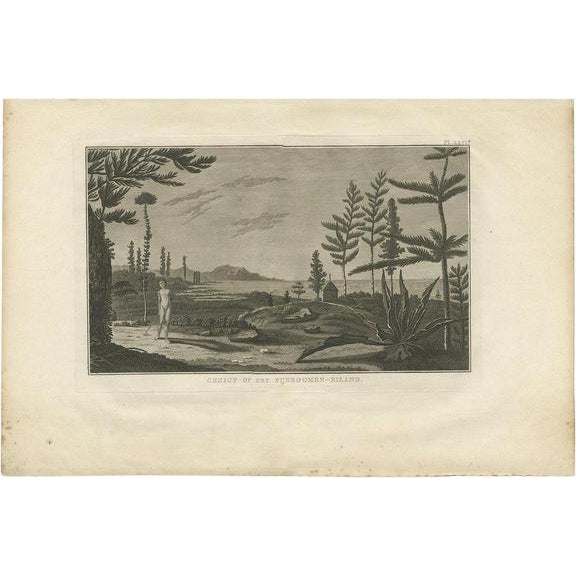 J. Cook, Pine Tree Island, 1803, Print For Sale