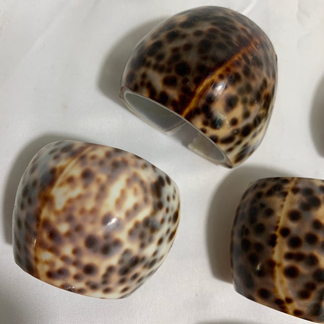 Coastal Vintage Tiger Cowrie Shell Napkin Rings – Set of 6 For Sale - Image 3 of 5