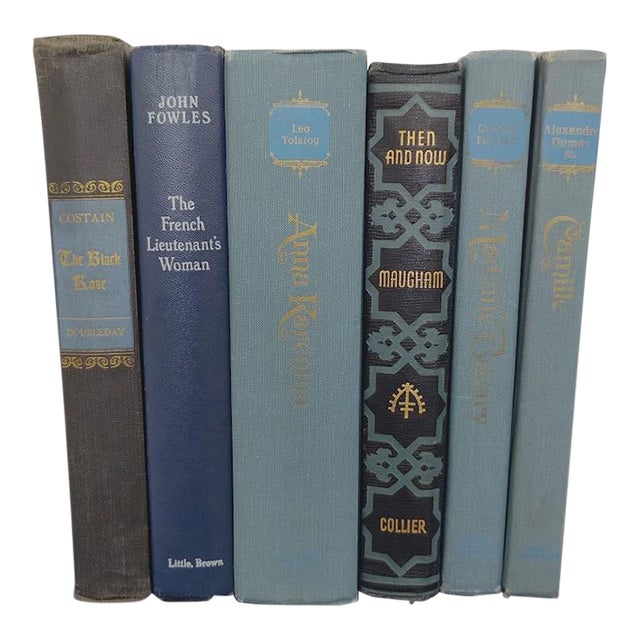 Vintage 1940s French Historical Fiction Romance Novels Set of 6 Blue Clothbound Hardcover Books For Sale