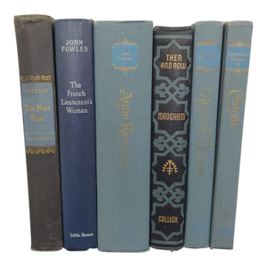 Vintage 1940s French Historical Fiction Romance Novels Set of 6 Blue Clothbound Hardcover Books