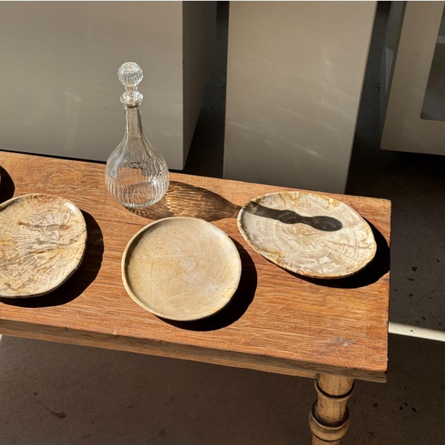 Small Oval Trinket Dish or Tray in Beige Petrified Wood with Crystal Rings, d25-20.5 -3313 For Sale - Image 6 of 18
