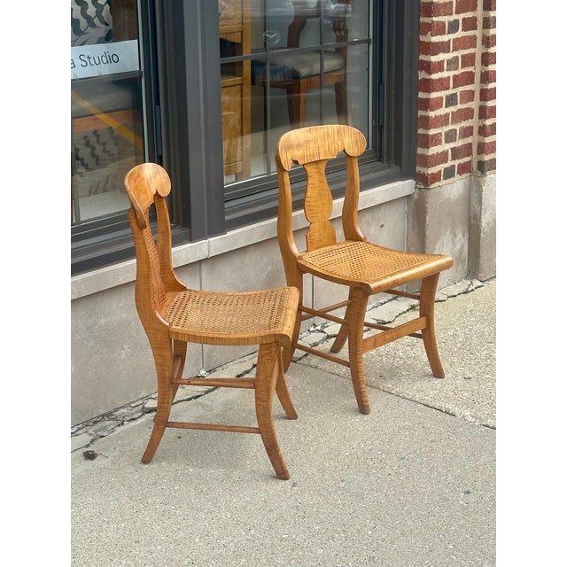 Mid 19th Century Pair of New York Curly Maple Klismos Chairs, Circa 1860. For Sale - Image 5 of 14