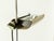 Alogena Floor Lamp by Joe Colombo for Oluce, 1970s For Sale - Image 12 of 17