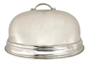 Large Silver Food Dome