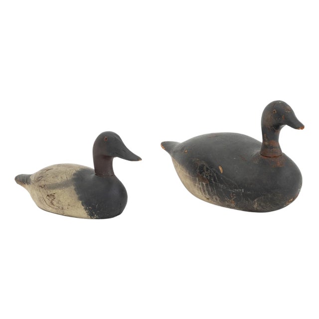 American Painted and Carved Wood Duck Decoys, 2 For Sale