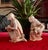 Kneeling Water Carriers attributed to James Hadley for Royal Worcester, Set of 2 For Sale - Image 6 of 10