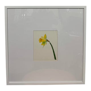 Isabel Wyatt Daylight Daffodil Original Painting, Signed For Sale