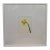 Isabel Wyatt Daylight Daffodil Original Painting, Signed For Sale