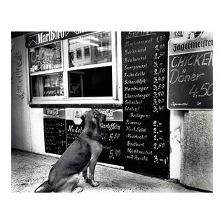 "The Dresden Dog" Original Black & White Photograph For Sale