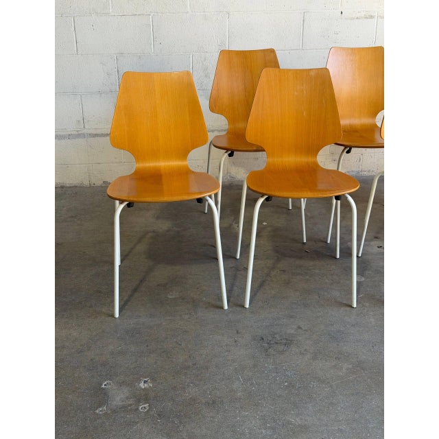 Mid 20th Century Set of 8 Danish Modern Bentwood Dining Chairs White Metal Mid Century Chairs For Sale - Image 4 of 10