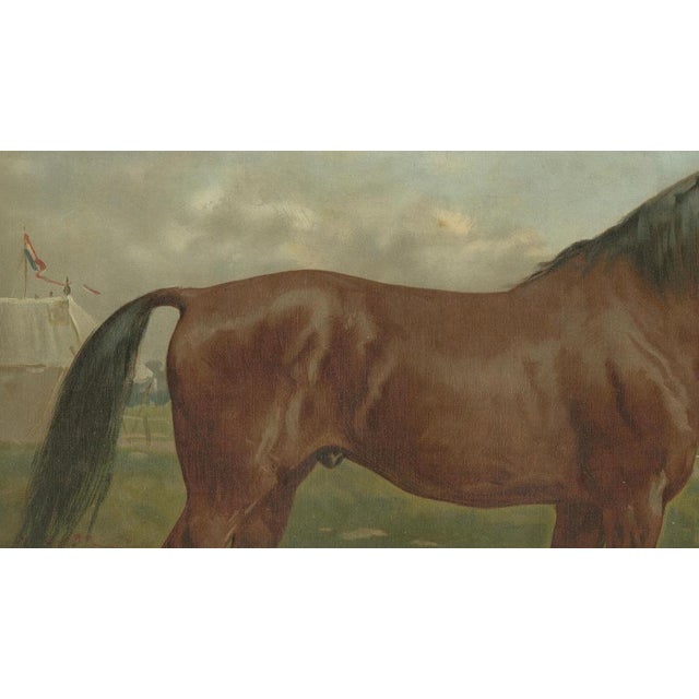 After Eerelman, East Prussian Trakehner Horse Portrait, 1898, Lithograph For Sale - Image 11 of 12