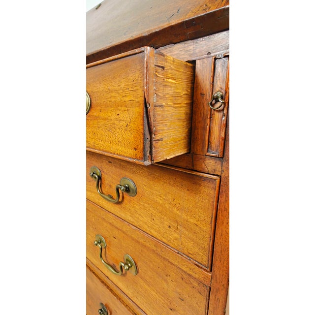 Georgian Secretaire in Oak, 1800 For Sale - Image 18 of 18
