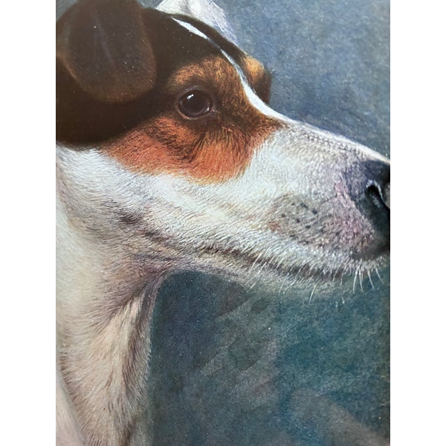 Antique Original Dog Lithographic, Framed Dog Portrait For Sale - Image 4 of 10