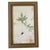 Vintage Botanical Fern Framed Print - A Pair For Sale - Image 4 of 4