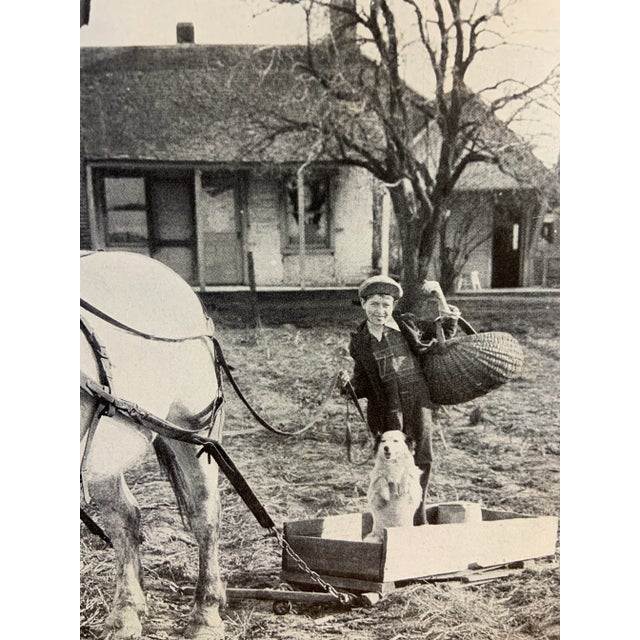 Wonderful book illustration from much-loved children's book on dogs. White Collie with boy and horse. Ready for framing!...