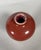 Meiping vase in oxblood red porcelain, China, 19th century For Sale - Image 4 of 5
