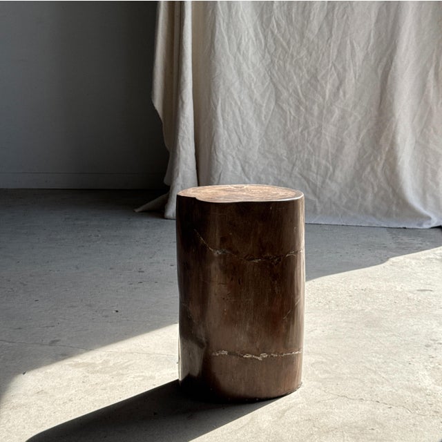 Side Table in Brown Petrified Wood, 1980s For Sale - Image 10 of 18
