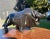 Bull Statue made of Stone and comes in a Black Onyx Color . Touch of Masculinity for Study or Office etc.