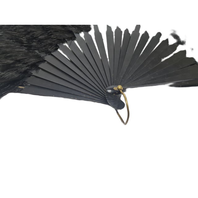 Art Deco Polish Autriche Feather Fan, 1920s For Sale - Image 3 of 16