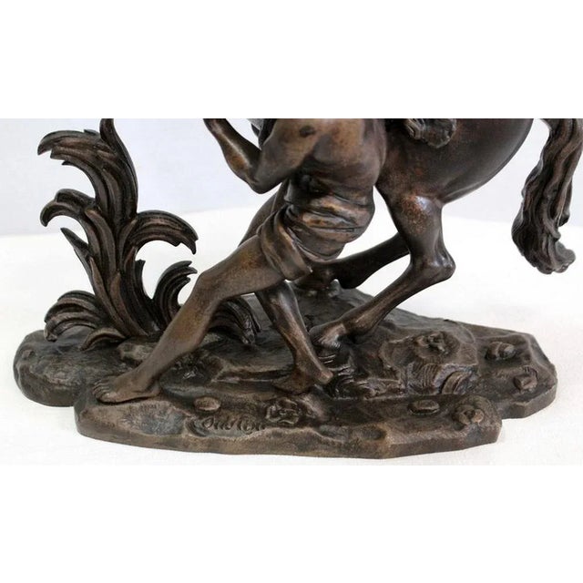 Bronze Cheval de Marly after G. Coustou, 19th Century For Sale - Image 10 of 18