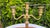 Art Deco Brass Three-Arm Candlestick, 1950s For Sale - Image 3 of 7