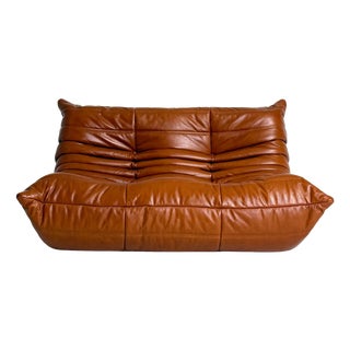 Togo Sofa by Michel Ducaroy for Ligne Roset, 1970s For Sale
