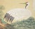 Asparagus "Cranes and the Big Pine Tree", Showa Era Japanese Silk Scroll Painting For Sale - Image 8 of 17