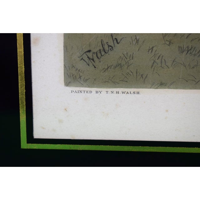Traditional Badly Down Painted by t.n.h. Walsh Published August 1 1890 For Sale - Image 3 of 5