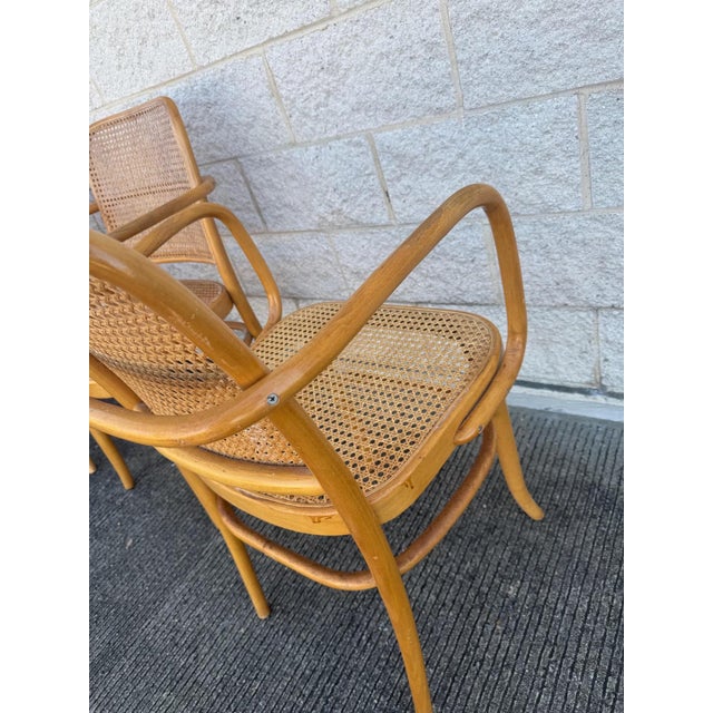 A Set of Four Mid Century Thonet Style Bentwood Prague Chairs Chairs For Sale - Image 9 of 11