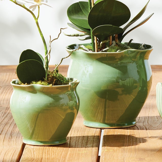 Kenneth Ludwig Chicago Megan Pots, Set Of 2 For Sale - Image 4 of 4