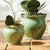 Kenneth Ludwig Chicago Megan Pots, Set Of 2 For Sale - Image 4 of 4