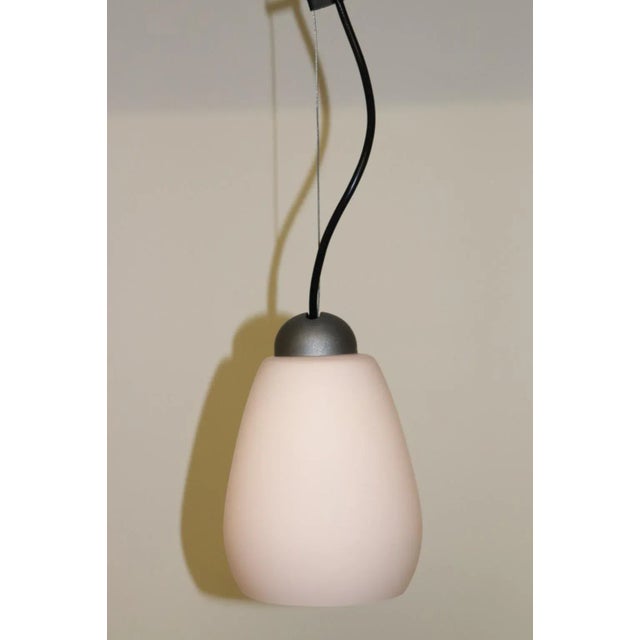 Glass 1990s Rosanna Toso Murano Pendant Lamp Rose Glass For Sale - Image 7 of 9