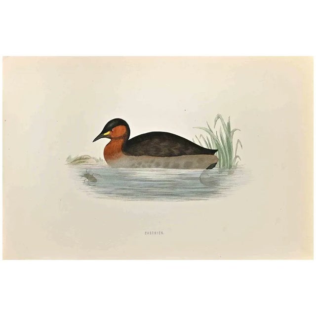 Dabchick is a modern artwork realized in 1870 by the British artist Alexander Francis Lydon (1836-1917). Woodcut print on...