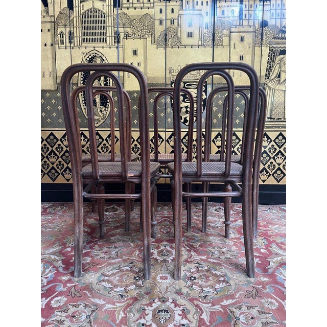 Chairs in Caning from Thonet, Set of 5 For Sale - Image 5 of 11