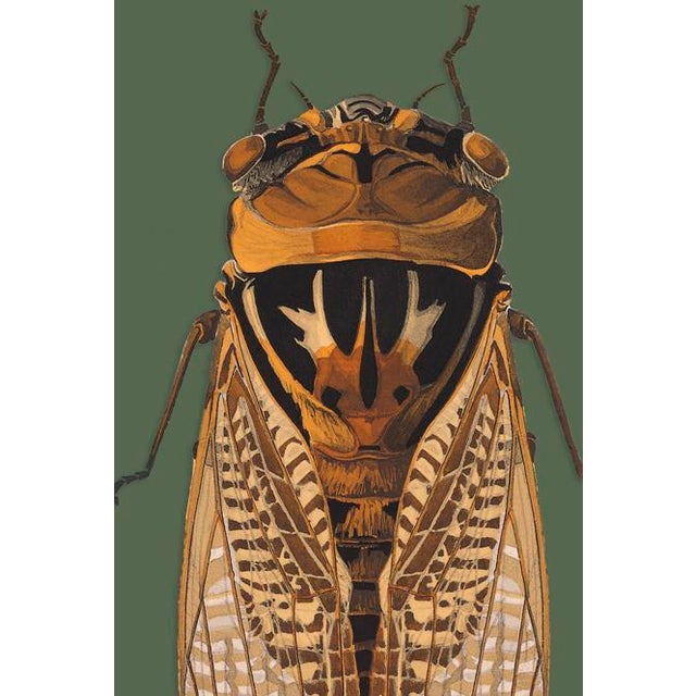 The series was produced by CFA editions from original pochior prints by E.A. Seguy. The series of insects that Seguy...