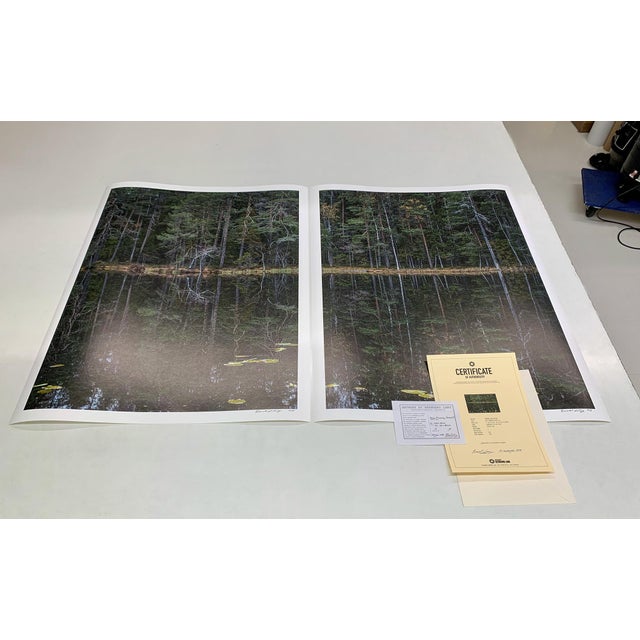 "Deep_Mirroring_Forest_011" Diptych, Limited Edition Fine Art Photograph by Bernhard Lang, Set of 2 For Sale - Image 9 of 13