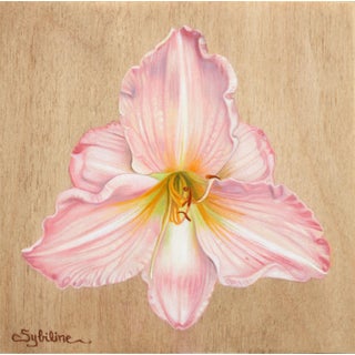 Hemerocallis I by Sybiline | Oil on panel Painting of a pink flower with yellow details For Sale